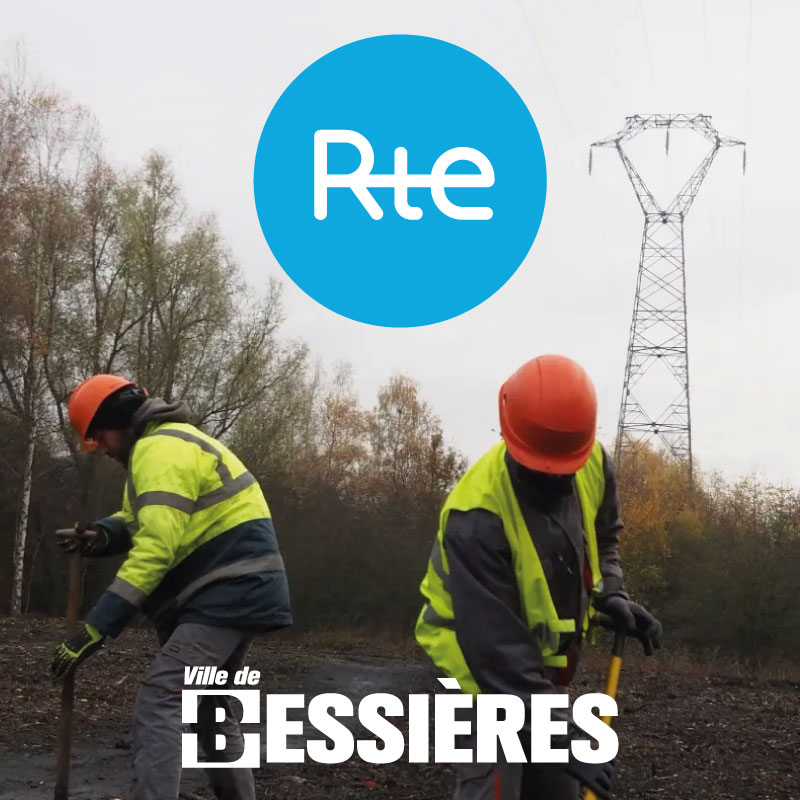 TRAVAUX ENTRETIEN LIGNE HAUTE TENSION